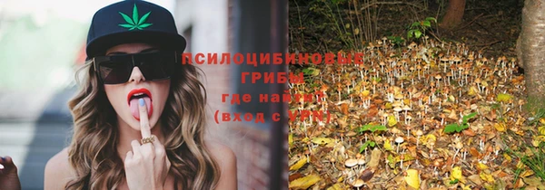 шишки Абдулино