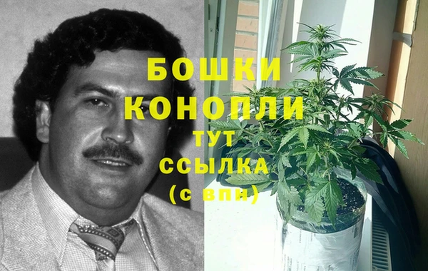 шишки Абдулино