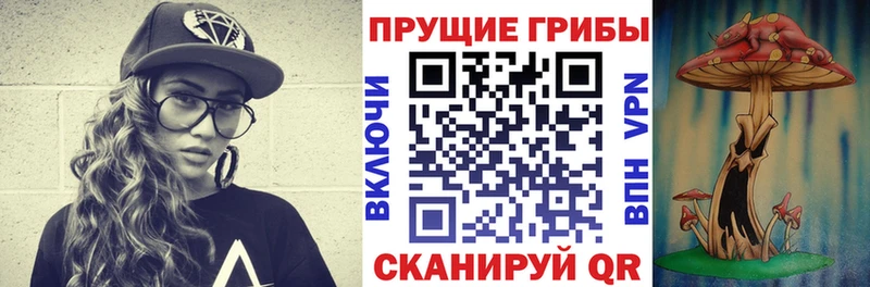 Псилоцибиновые грибы Psilocybe  Богданович 